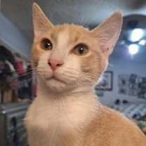 Thumbnail photo of Dee #2