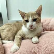 Thumbnail photo of Dee #4