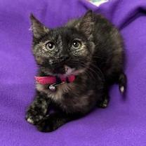 Thumbnail photo of Faith #3