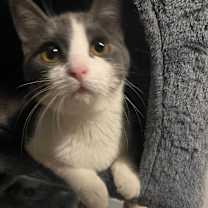 Thumbnail photo of Marie #2