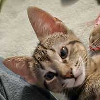 Thumbnail photo of Charles #2