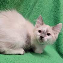 Thumbnail photo of Benjamin Franklin #1