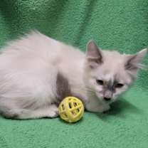 Thumbnail photo of Benjamin Franklin #3