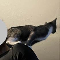 Thumbnail photo of Little Dipper #4