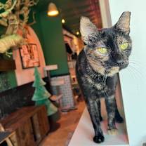 Thumbnail photo of Sissy #1