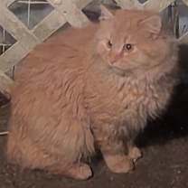 Thumbnail photo of Unknown #2