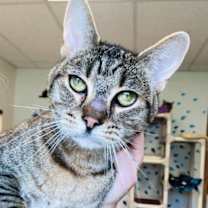 Thumbnail photo of Riley #2