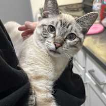 Thumbnail photo of Bubbles #2