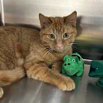 Thumbnail photo of KerPlunk #1