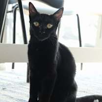 Thumbnail photo of Daisy #4