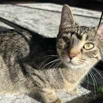 Thumbnail photo of Boo #3