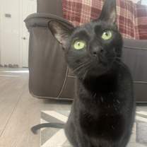 Thumbnail photo of Zonker #1