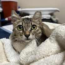 Thumbnail photo of Mort #2