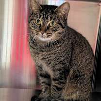 Thumbnail photo of Professor Wiggles  #1