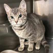 Thumbnail photo of Roy #1