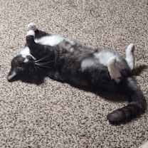 Thumbnail photo of Marceline #3