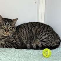 Thumbnail photo of Birdie #1