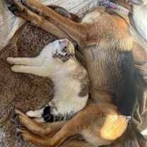 Thumbnail photo of Astrid #4