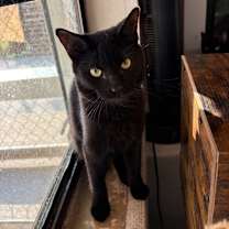 Thumbnail photo of Luck #2