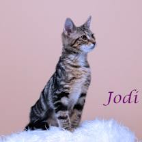 Thumbnail photo of Jodi C25-316 #3