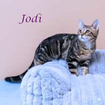 Thumbnail photo of Jodi C25-316 #4