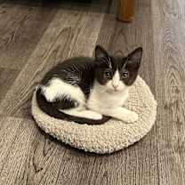 Thumbnail photo of DeaconW #1