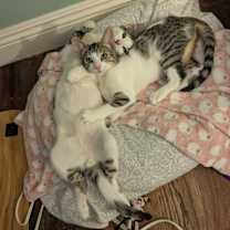 Thumbnail photo of Xander #2