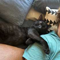 Thumbnail photo of Liam #3