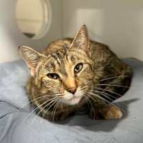 Thumbnail photo of Vivianne #1