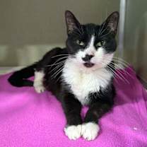 Thumbnail photo of Lorain #2