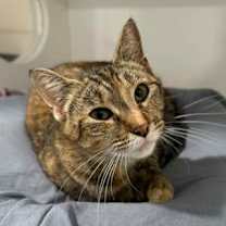 Thumbnail photo of Vivianne #2