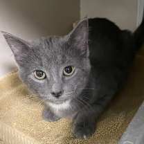 Thumbnail photo of Hazel #2