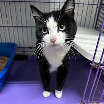 Thumbnail photo of Lucy Lu #2