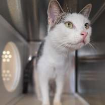 Thumbnail photo of Isabella #4