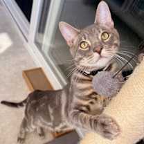 Thumbnail photo of Jack #2