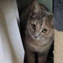 Thumbnail photo of Agnes #4