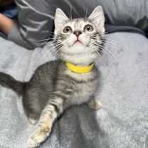 Thumbnail photo of Beatrice #2