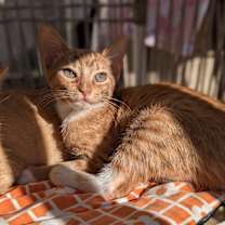 Thumbnail photo of Stevie (The Little Legends) #3