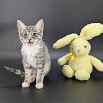 Thumbnail photo of Hope (The Little Legends) #2