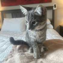 Thumbnail photo of Wilbur Flint #3