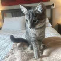 Thumbnail photo of Wilbur Flint #4