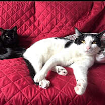 Thumbnail photo of Venus & Jax #2