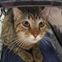 Thumbnail photo of Kiara #2