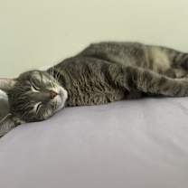 Thumbnail photo of Sophia #2