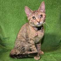 Thumbnail photo of Lloyd #4