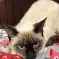 Thumbnail photo of Marie #3