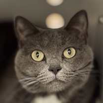 Thumbnail photo of Darla #3