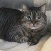 Thumbnail photo of Winzling #1