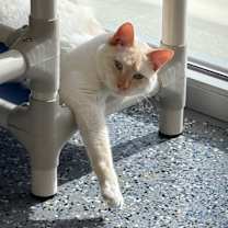 Thumbnail photo of Micah #3