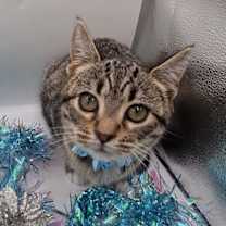 Thumbnail photo of Kristen #4